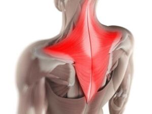 douleur musculaire comme cause de douleur sous l'omoplate gauche